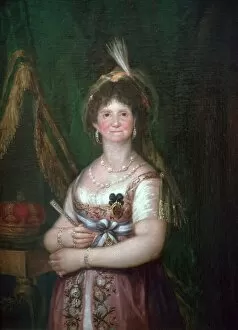 Carlos Iv Gallery: Portrait of Queen Maria Luisa, 18th century