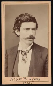 Portrait of Robert Ridgway (1850-1929), April 1873. Creator: Ulke Bros
