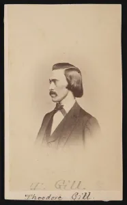 Portrait of Theodore Nicholas Gill (1837-1914), Between 1865 and 1870