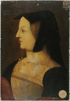 Head Covering Prints: Portrait of a woman, known as la Belle Ferronniere, 1539. Creator: Unknown