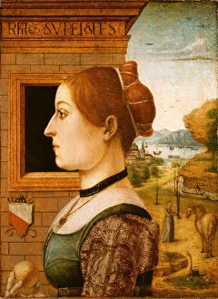 Redhead Collection: Portrait of a Woman, possibly Ginevra d Antonio Lupari Gozzadini, 1494?. Creator