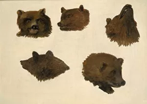 Grizzly Bear Gallery: Portraits of Two Grizzly Bears, From Life, 1839-1840. Creator: George Catlin