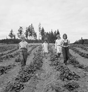 Possibly: The Arnold children and mother on their newly...Michigan Hill, Thurston County, 1939. Creator: Dorothea Lange