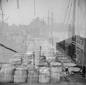 Possibly: Barrels of fish on the docks at the Fulton fish market ready to be... New York, 1943. Creator: Gordon Parks