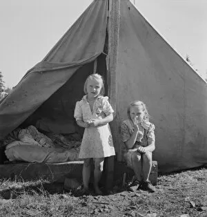 Possibly: Bean pickers camp in growers yard, near West Stayton, Marion County, Oregon, 1939. Creator: Dorothea Lange