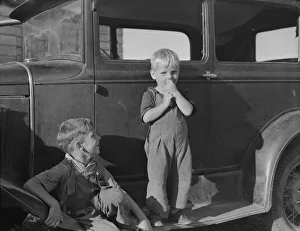 [Untitled, possibly related to: Bean pickers children came from Kansas, Nebraska, South Dakota, California, Missouri. Oregon, Marion County, near West Stayton Possibly: Bean pickers children came from Kansas... near West Stayton, Marion County, Oregon, 1939 Creator: Dorothea Lange