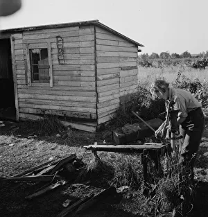 Hygienic Gallery: Possibly: Bean pickers children in camp at end... near West Stayton, Marion County, Oregon, 1939