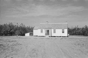 Possibly: Briar Patch Project, Carpenter at work, Eatonton, Georgia, 1936. Creator: Walker Evans