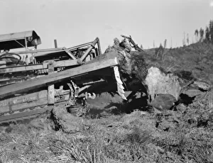 Possibly: Bulldozer raises and pushes stump on cut-over farm, Lewis County, Western Washington, 1939 Creator: Dorothea Lange