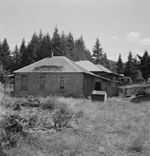 Yard Gallery: Possibly: Company houses of closed mill... Malone, Grays Harbor County, Western Washington, 1939