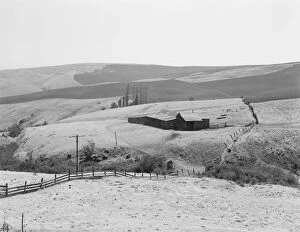Fence Gallery: Possibly: Desert stock farm, south central Washington, in region...land has been overgrazed, 1939