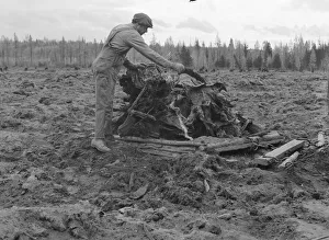 Clearing Prints: Possibly: Ex-lumber mill worker clears eight-acre field after