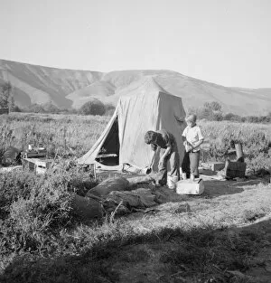 Child Labour Gallery: Possibly: Fatherless migratory family camped behind gas station, Yakima Valley, Washington, 1939