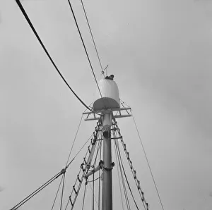 Fishing Boats Gallery: Possibly: Frank Mineo, owner of the Alden, climbs to the crow s... Gloucester, Massachusetts]