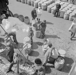 Dock Worker Prints: Possibly: Fulton fish market dock stevedores unloading and weighing fish