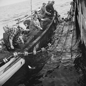 Deck Gallery: Possibly: Gloucester fishermen pulling in their nets to bring... Gloucester, Massachusetts, 1943