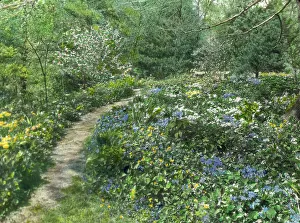 Farrand Beatrix Jones Prints: Possibly Herbert Livingston Satterlee Garden
