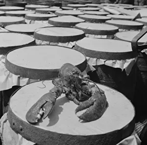 Claw Prints: Possibly: A large lobster brought in by the New England fishing boat Fulton