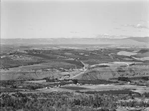 Looking Down Gallery: Possibly: Looking down on part of the Valley, approximately six miles from Yakima, Washington, 1939