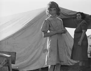 Migration Collection: Possibly: Migratory child in camp... Bean pickers camp near West Stayton, Oregon, 1939