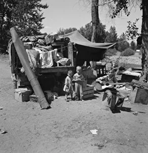 Guitar Gallery: Possibly: Migratory children living in 'Ramblers Park', Yakima Valley, Washington, 1939