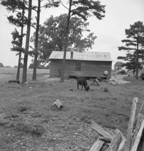 Possibly: Negro sharecropper house seen from rear, Person County, North Carolina, 1939. Creator: Dorothea Lange Possibly: Negro sharecropper house seen from rear, Person County, North Carolina, 1939. Creator: Dorothea Lange