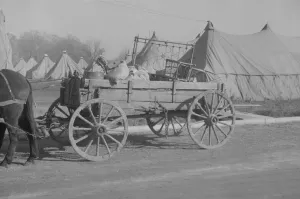 Mules Collection: Possibly: Refugees lined up at meal time in the camp for white... Forest City, Arkansas, 1937