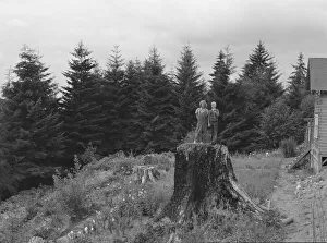 Possibly: Shows charater of the land...Elma, Grays Harbor County, Western Wasington, 1939. Creator: Dorothea Lange Possibly: Shows charater of the land...Elma, Grays Harbor County, Western Wasington, 1939. Creator: Dorothea Lange