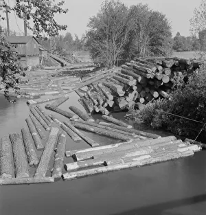 Sawmill Prints: Possibly: Small sawmill on the Marys River near Corvallis