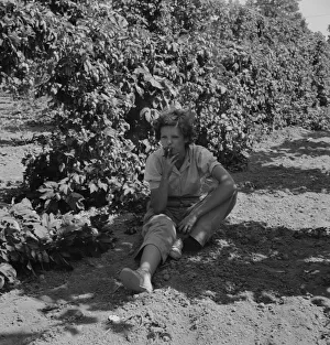 Rest Gallery: Possibly: Wife of an ex-logger, now a migrat... Independence (vicinity), Polk County, Oregon, 1939