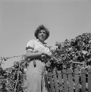 Possibly: Wife of an ex-logger, now a migrat... Independence (vicinity), Polk County, Oregon, 1939. Creator: Dorothea Lange