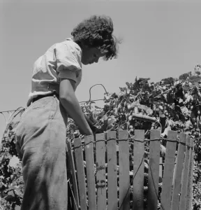Possibly: Wife of an ex-logger, now a migrat... Independence (vicinity), Polk County, Oregon, 1939. Creator: Dorothea Lange