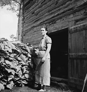 tobacco wives The W Magazine Tobacco Farm Labor Print, Granville