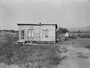 Shack Gallery: Possibly: Yakima, Washington, 1939. Creator: Dorothea Lange