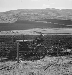 Possibly: Young Idaho farmer plowing in the fall of the year... Gem County, Idaho, 1939. Creator: Dorothea Lange