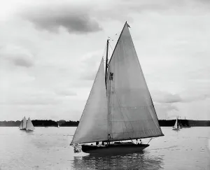 Sloop Prints: Possum, 1899 June 17. Creator: Johns Johnston