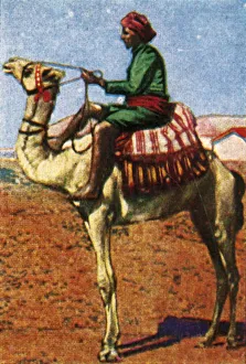 Postman Prints: Post delivered by camel, Arabia, c1928. Creator: Unknown