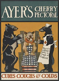 Posters Prints: Posters. New York, 1890s-1907. c1890 - 1907. Creator: Edward Penfield