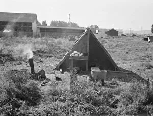 Living Conditions Gallery: One of the forty potato camps in open field, entering town, Malin, Klamath County, Oregon, 1939