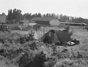 Forced Migrants Collection: One of the forty potato camps in open field... Malin, Klamath County, Oregon, 1939