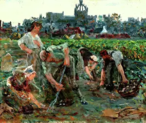 Bending Prints: Potato Diggers, Kings College, c1900s. Creator: George Sherwood Hunter