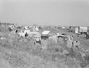 Potato pickers camp, Tulelake, Siskiyou County, California, 1939. Creator: Dorothea Lange