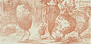 Potatoes Prints: The Potato Tercentenary Exhibition and Conference at St Stephen's Hall