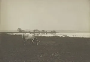 River Potomac Prints: Potomac River from below Alexandria, Virginia, c1895. Creator: Frances Benjamin Johnston