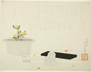 Stationery Collection: Potted adonis with writing implements, 1800. Creator: Hishikawa Sori