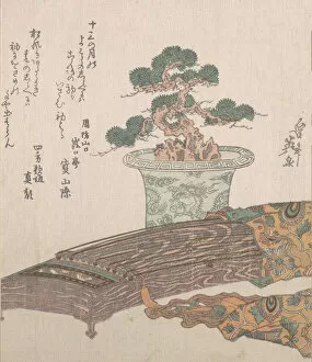 Eisen Ikeda Gallery: Potted Pine Tree and Koto (Japanese Harp), 19th century. Creator: Ikeda Eisen