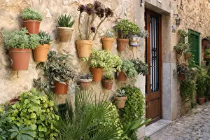 Balearic Islands Gallery: Potted plants on the wall of a house, Valldemossa, Mallorca, Spain