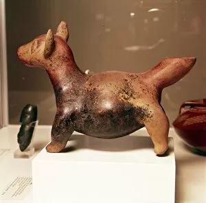 Colima Collection: Pottery vessel of Ancient breed of Mexican dog, Colima Culture, Mexico, 300-900
