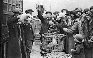 Caledonian Market Gallery: Poultry merchants, Caledonian Market, London, 1926-1927