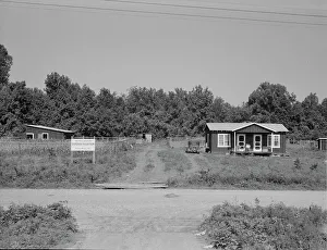 Hillhouse Prints: The poultry unit of the Delta cooperative farm